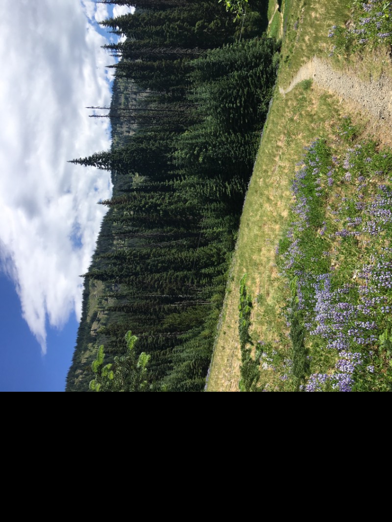 Three falls hotsell trail manning park